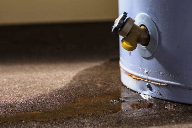 Best Water damage restoration company  in The Galena Territory, IL