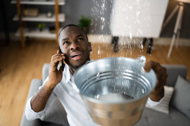 Best Water damage restoration near me  in The Galena Territory, IL