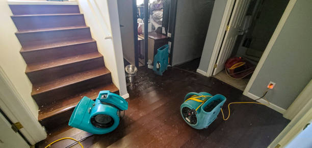 Best Basement water damage restoration  in The Galena Territory, IL