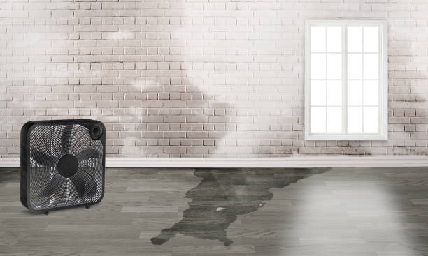 Water damage restoration insurance claims in IL