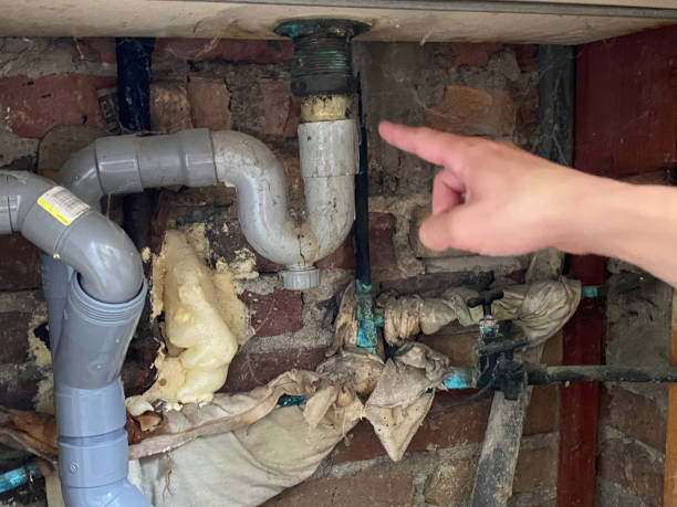 Best 24/7 water damage repair  in The Galena Territory, IL