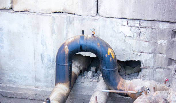 Best Professional water damage repair  in The Galena Territory, IL