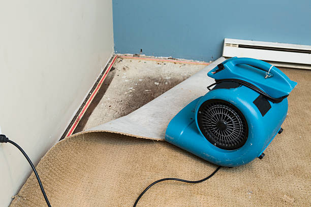 Best Mold removal after water damage  in The Galena Territory, IL